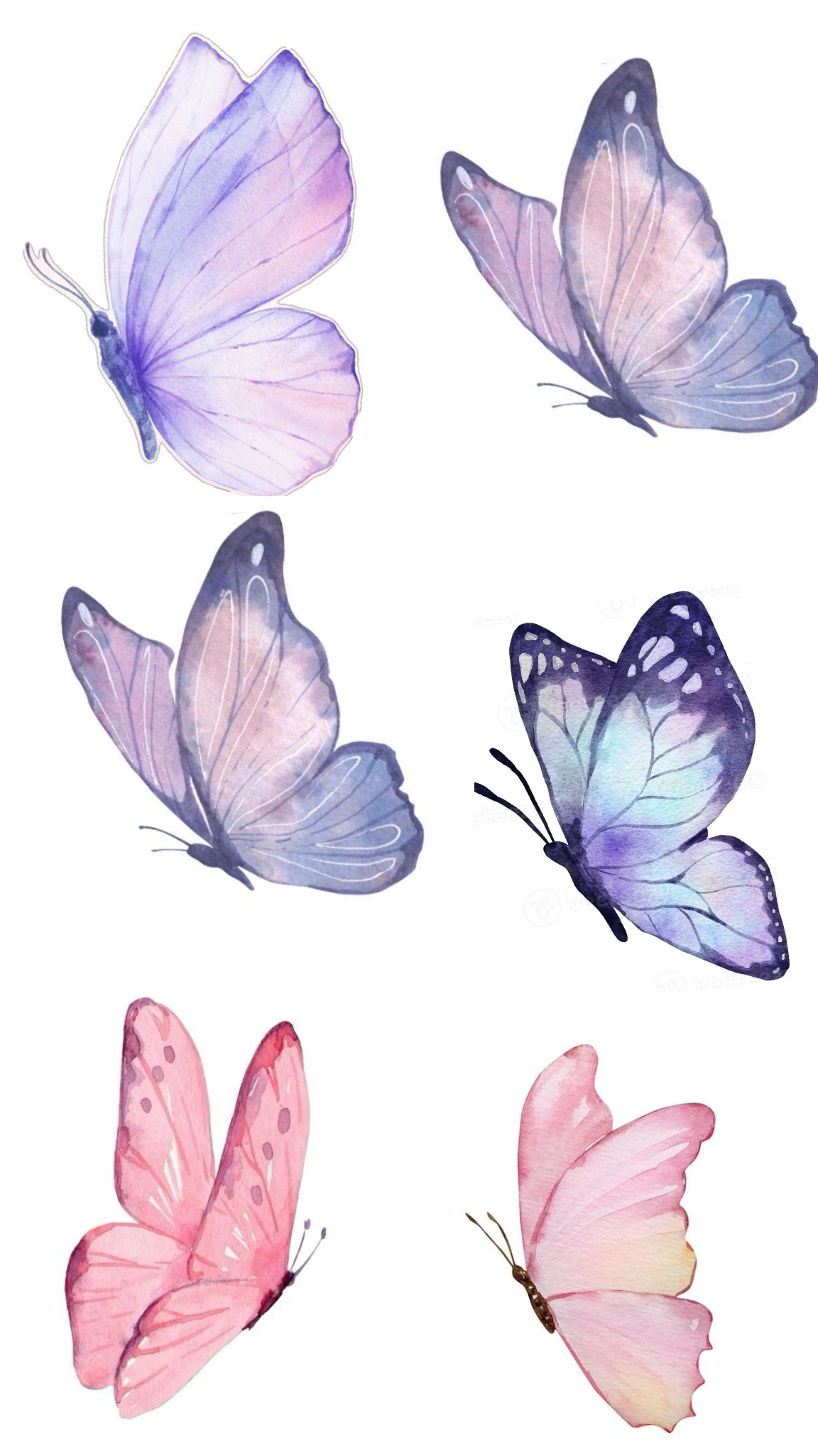 Cha Tôi Là Anh Hùng?